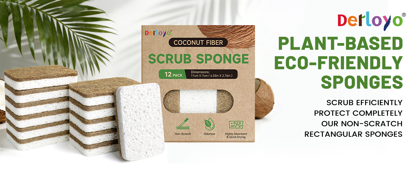 Kitchen Sponge