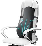 Teemour Lumbar Support Pillow for Office Chair...