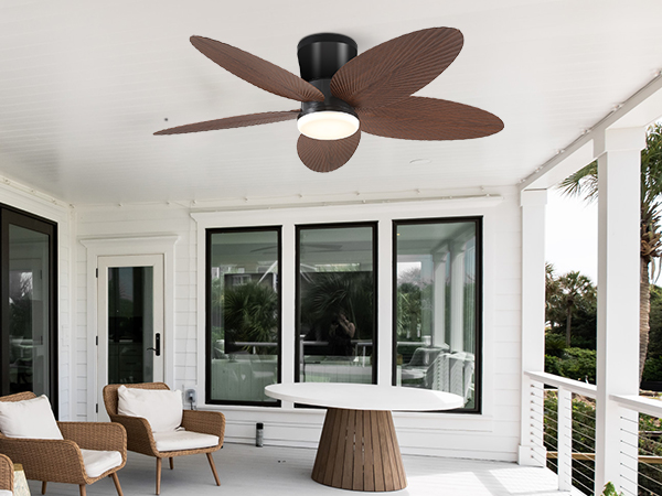 ceiling fan