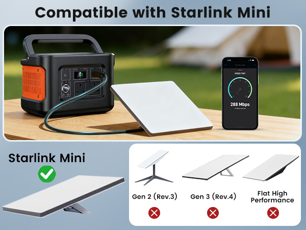 starlink mini usb c cable