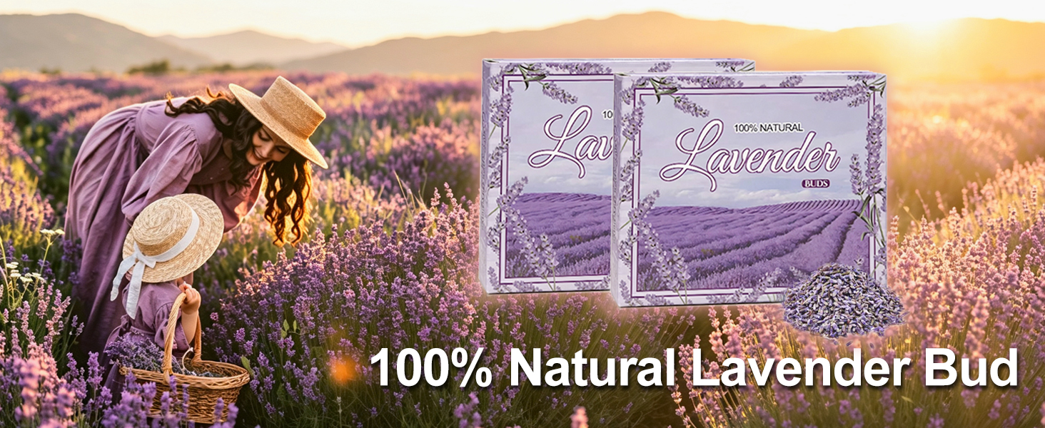 Dried Lavender Flowers
