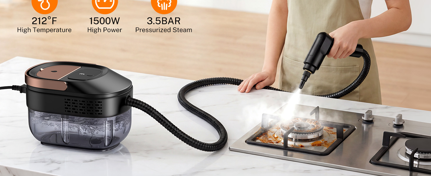 Steam Cleaner for Home