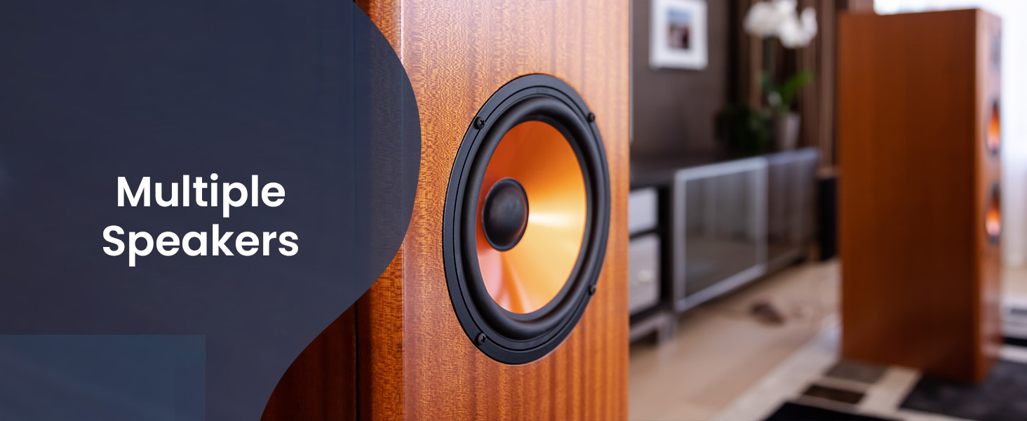 Multiple Speakers