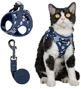 Arblina Soft Mesh Kitten Harness and Leash Set for Walking, Lightweight Step in Cat Vest Harness,...