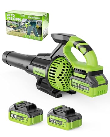 electric leaf blower