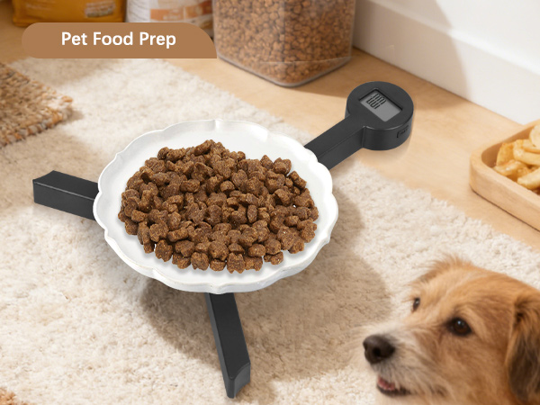 Travel Scale for Food