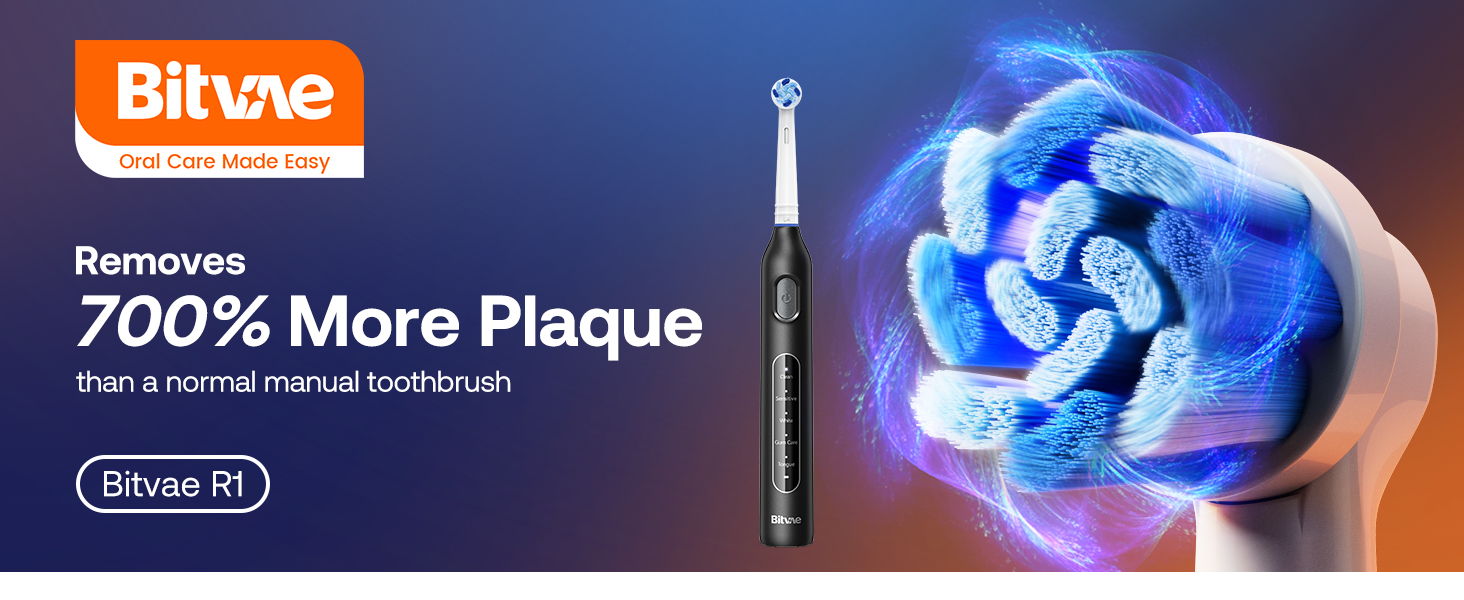 Electric Toothbrush