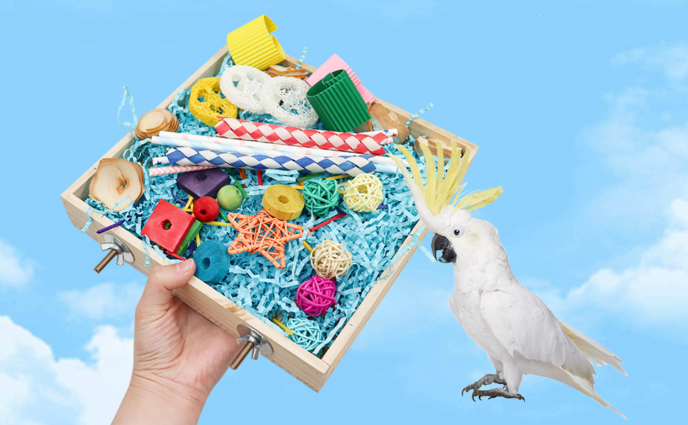 Bird Foraging Toys Box