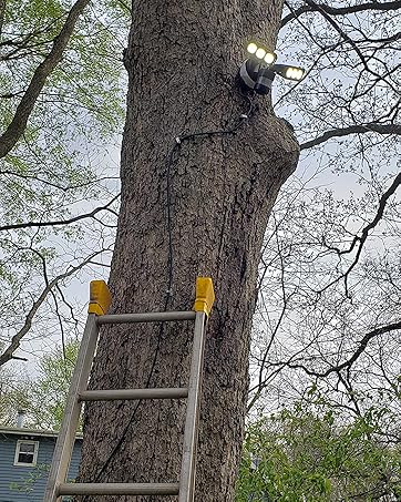 security lights motion outdoor