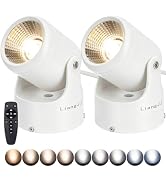 LiangJJ Uplights Indoor, 2 Pack 12W Uplighting with Timer and Remote, Stepless Adjustable Color T...