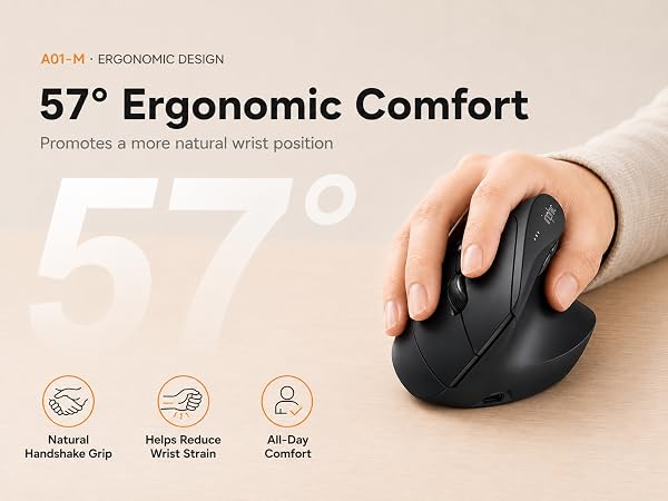 ergonomic mouse