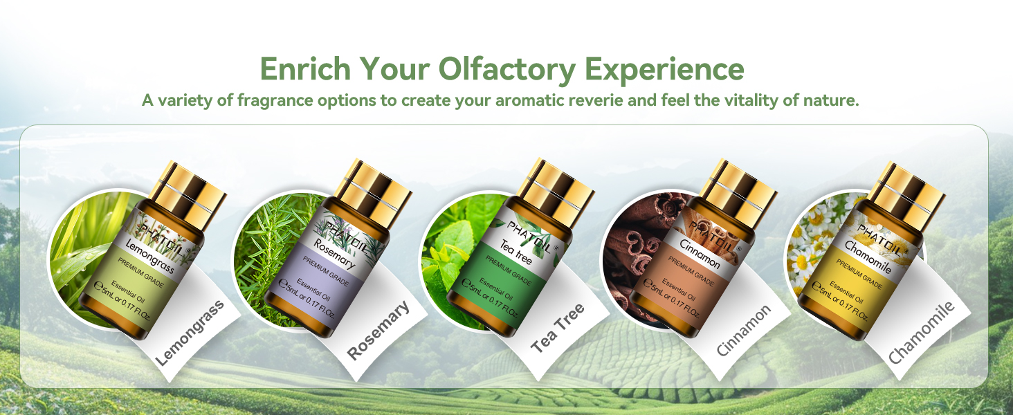 PHATOIL Essential Oils Gift Set