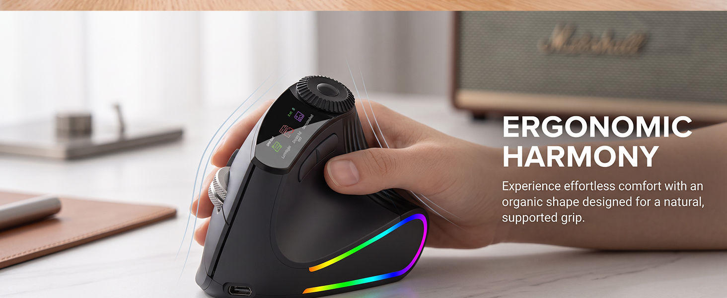 Ergonomic Wireless Mouse