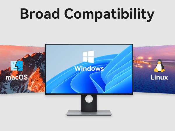 kvm switch 1 monitors 2 pc