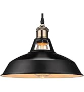 Betorcy Pendant Light Fixtures, Metal Pendant Light, Vintage Ceiling Hanging Lights Fixture, Indu...