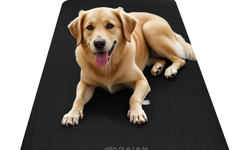 Dog resting comfortably on a thick 10mm Gaiam fitness and yoga mat used as a cushioned floor mat