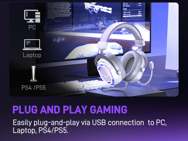 H13W compatibility