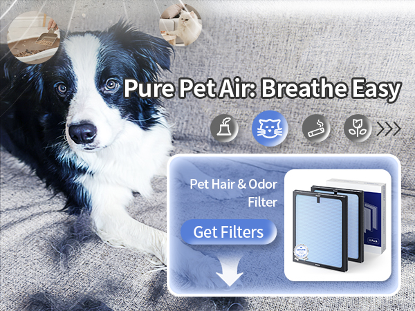 air purifier