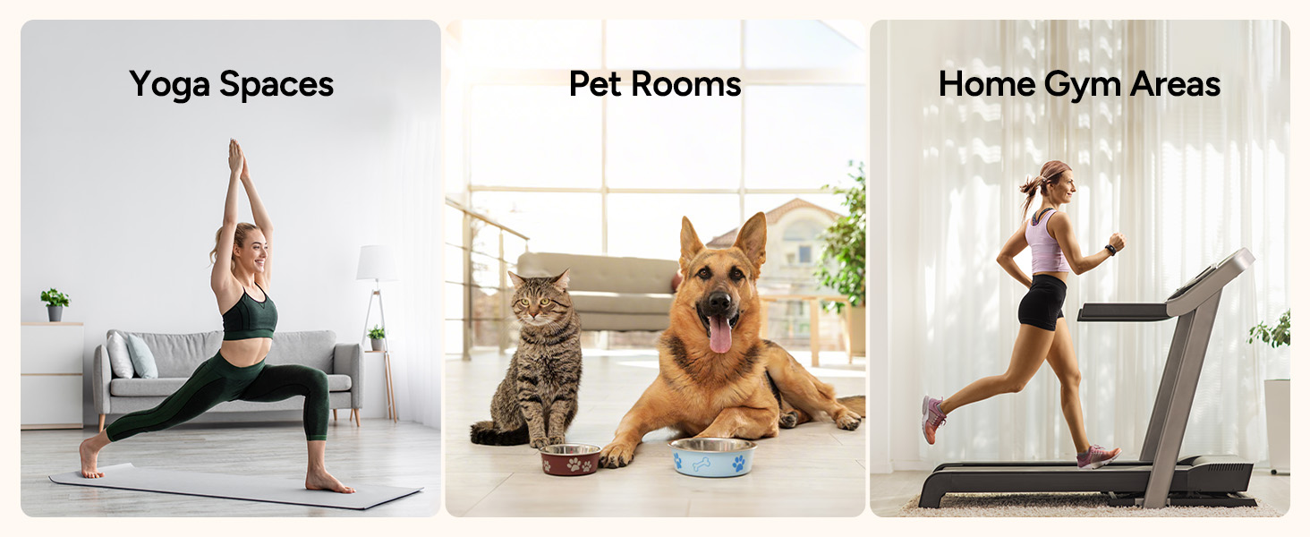 air purifier fot home