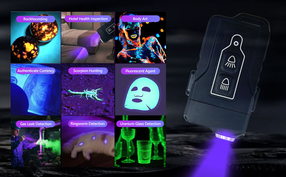 365nm UV Flashlight Black Light