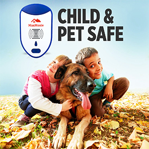 pet safe