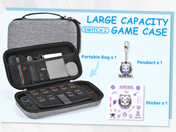 switch 2 case gray