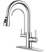 FORIOUS Kitchen Faucets with Water Filter, 2 in 1 Stainless Steel Pull Down Sink Faucet and Purfi...