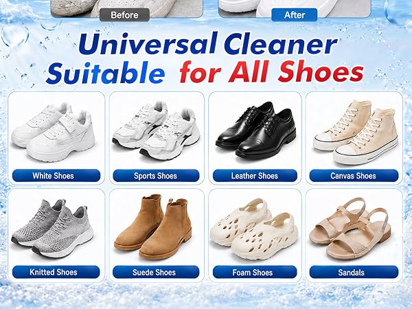 shoe cleaning kit