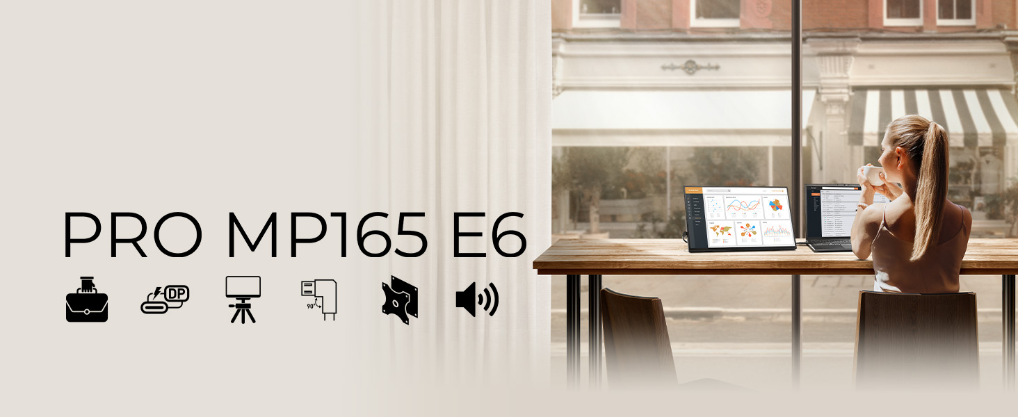 PRO MP165 E6 Portable Monitor