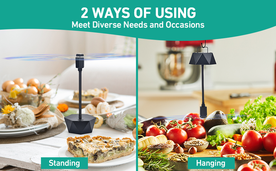 bug fans for food table