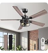 52 Inch Farmhouse Ceiling Fan with Lights and Remote, Timer, Dual Finish 5 Blades (Gray Oak and B...