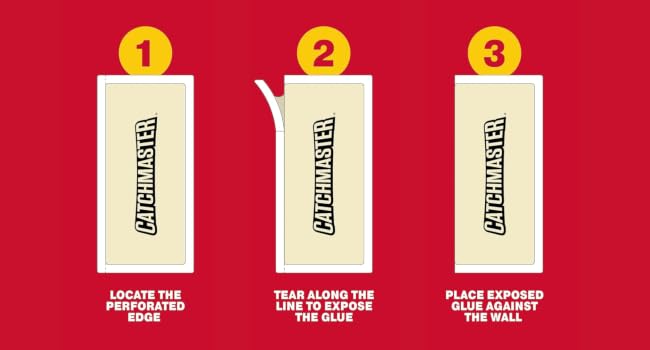 Step 1, 2, 3