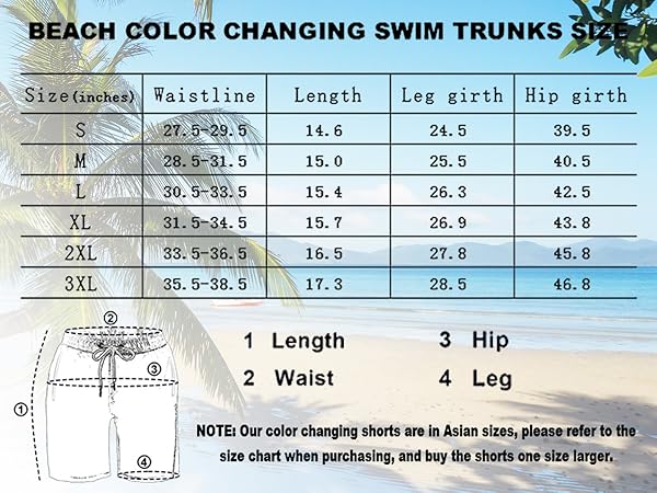 Men's Swim Trunks