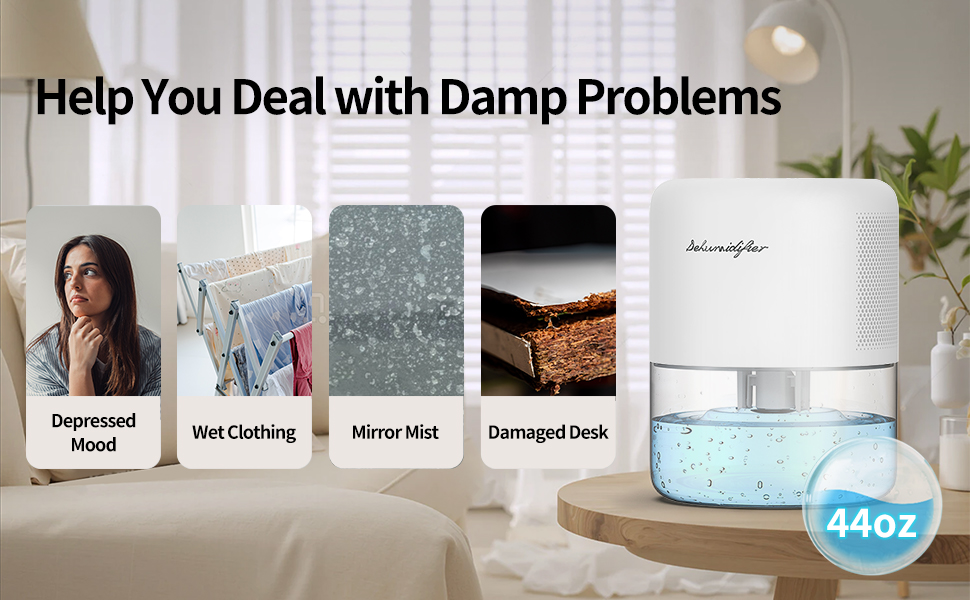 Help You Deal with Damp Problems