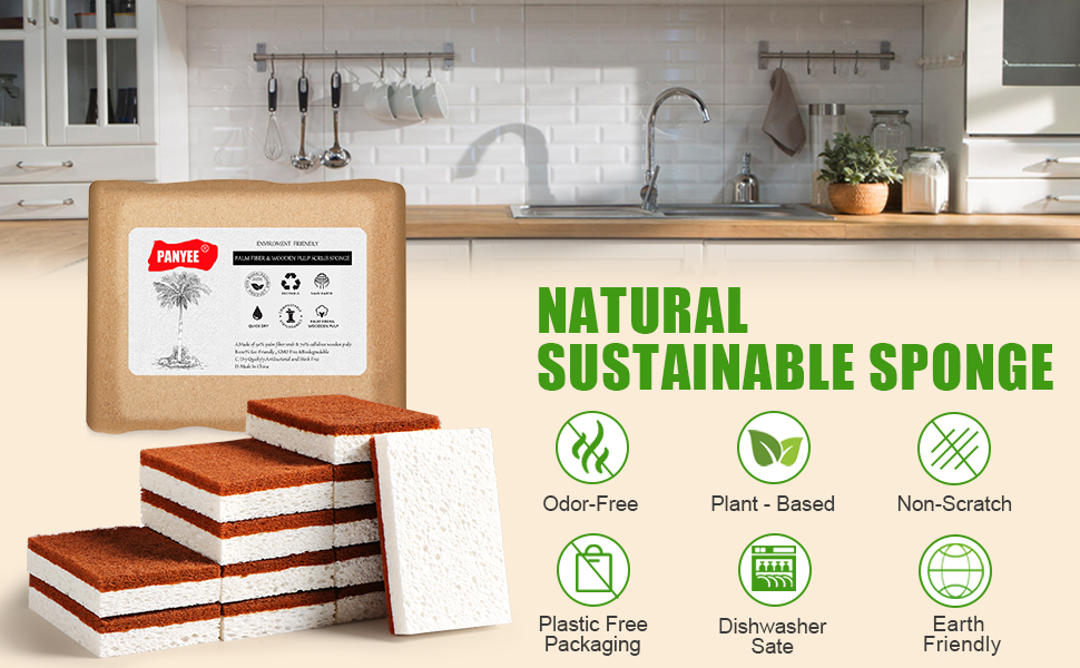natural sponge