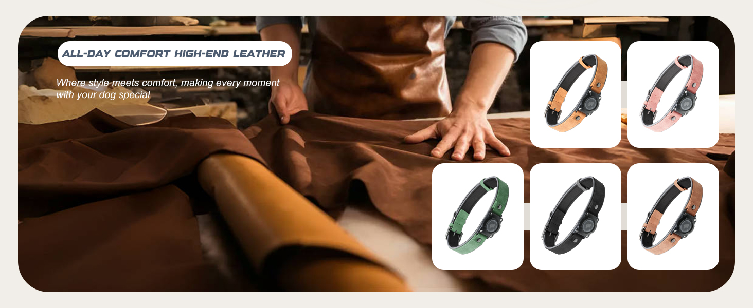 dog collar with airtag holder