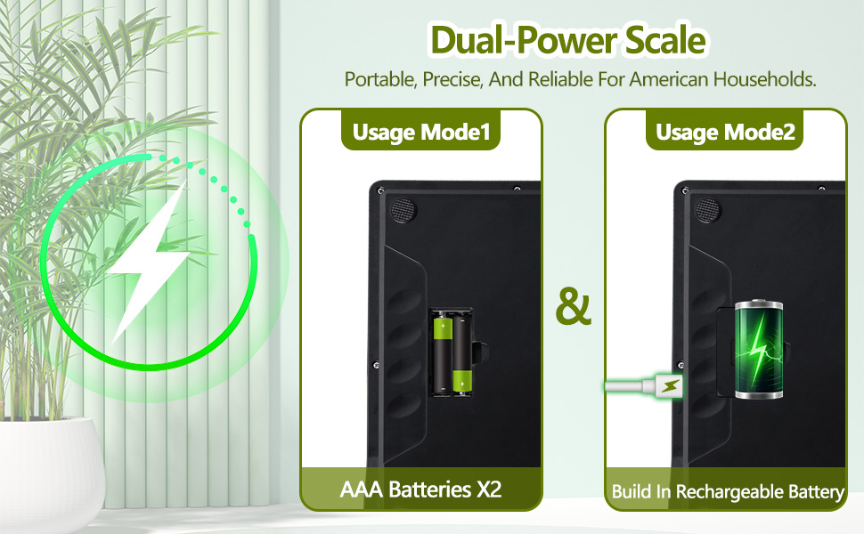 Precision Kitchen Scale