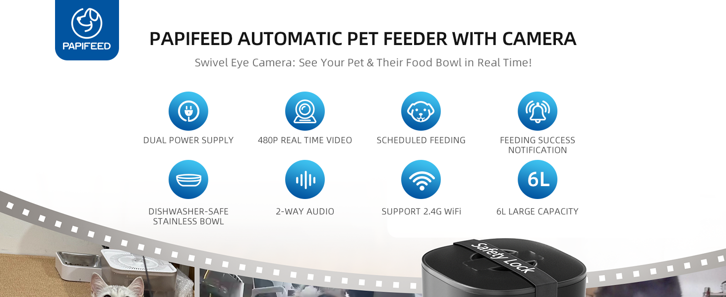 automatic cat feeder