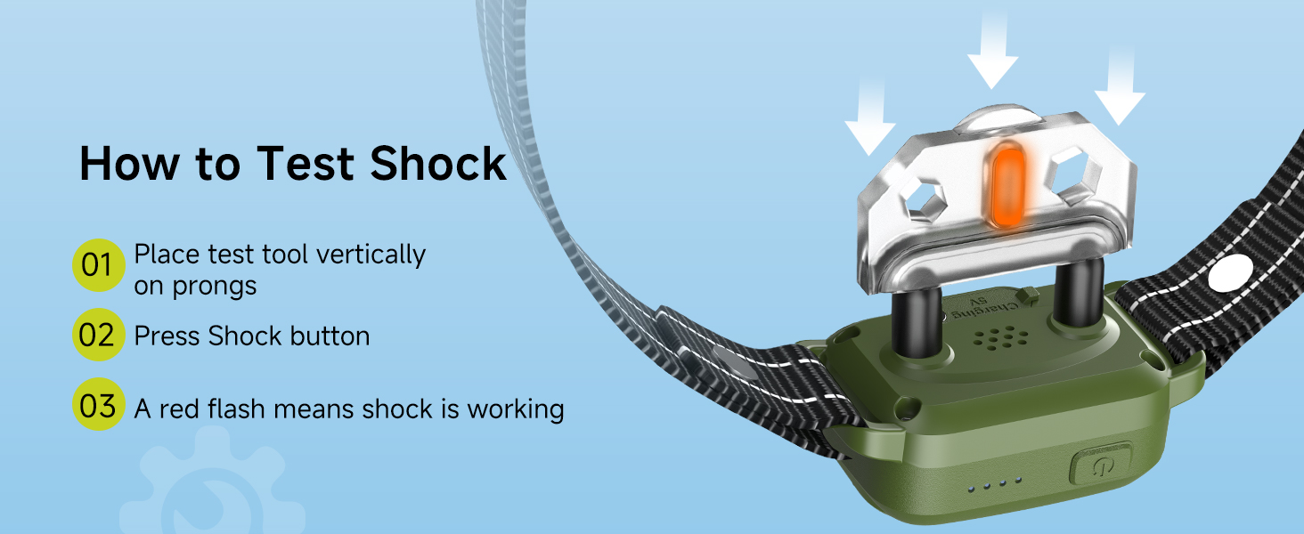 shock collar
