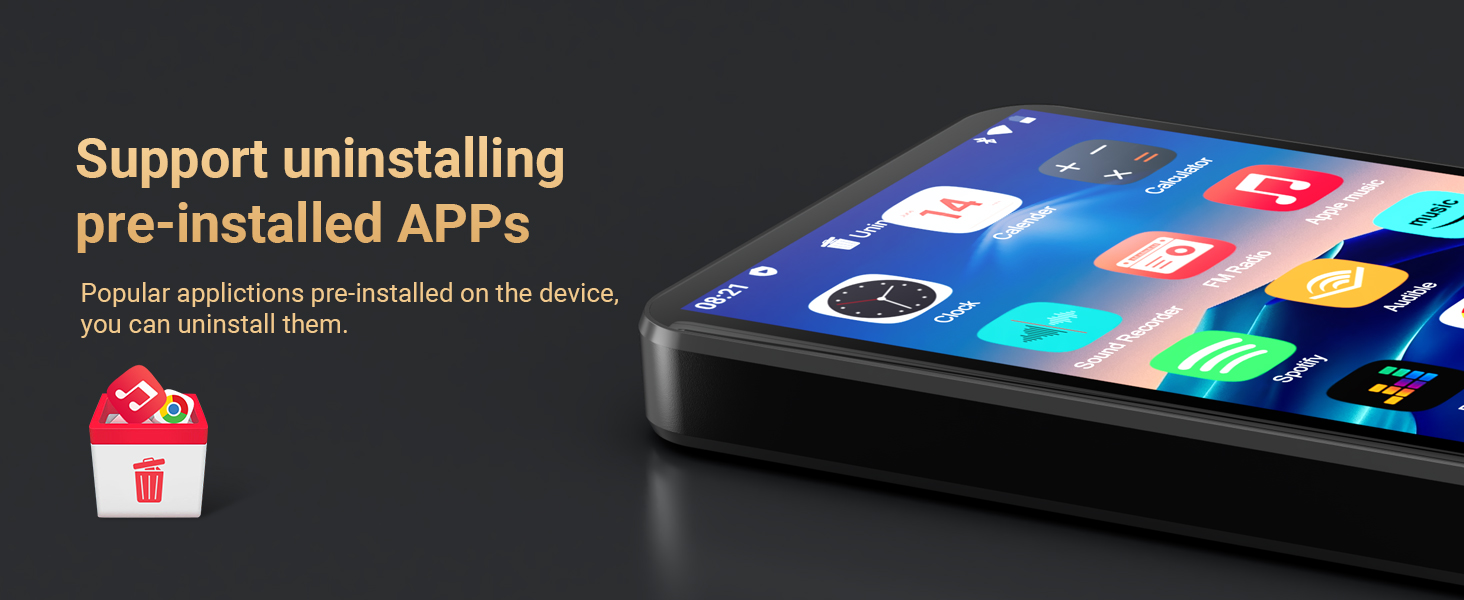 MP3 Player with Bluetooth and WiFi