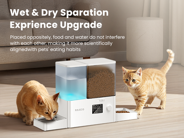 Automatic Cat Feeder and Water Dispenser