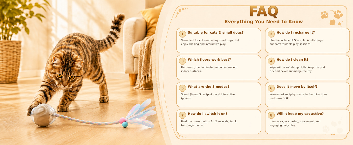 FAQ everything you need to know