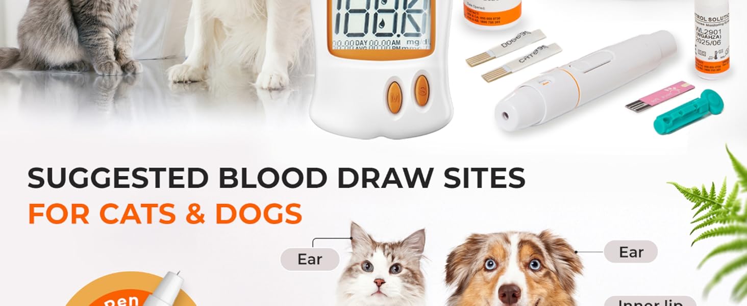 dog glucose monitor pet glucose monitoring kit for dogs pet glucose monitor kit