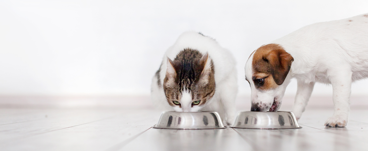 Even your furry friends can enjoy a balanced diet, and you can track their weight with the scale.