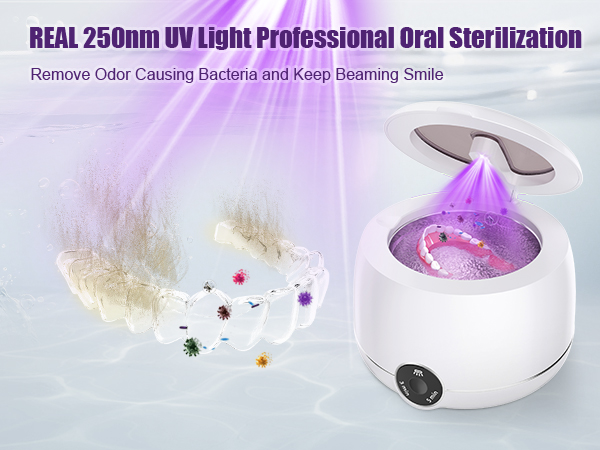 dental pod