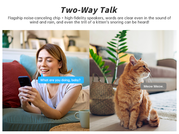 Two Way Audio
