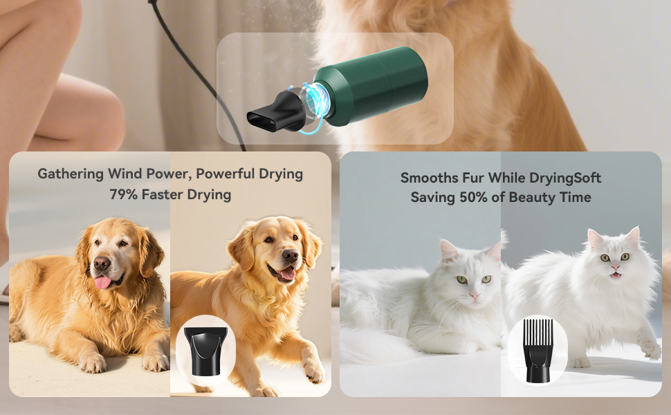 dog hair dryer