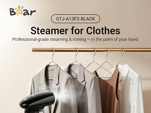Bear Steamer for Clothes