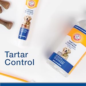 dog toothpaste dog toothbrush dog tooth brushing kit dog products teeth dog breath freshener