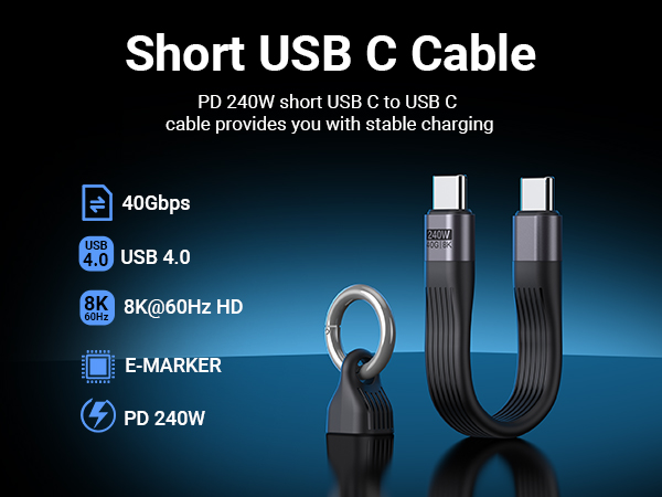 short usb c to usb c cable